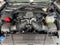 2026 Ford Mustang Dark Horse Fastback