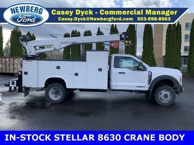 2024 Ford Super Duty F-600 DRW XL 4WD Reg Cab 169" WB 84" CA