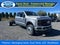 2027 Ford Super Duty F-550 DRW Platinum 4WD Crew Cab 179" WB 60" CA
