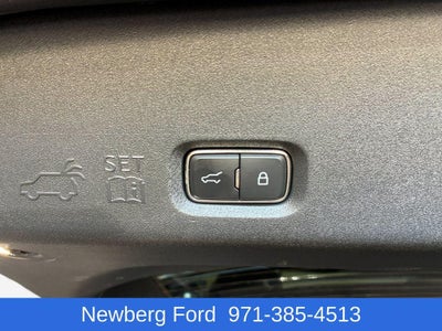 2025 Ford Expedition Max Platinum 4x4