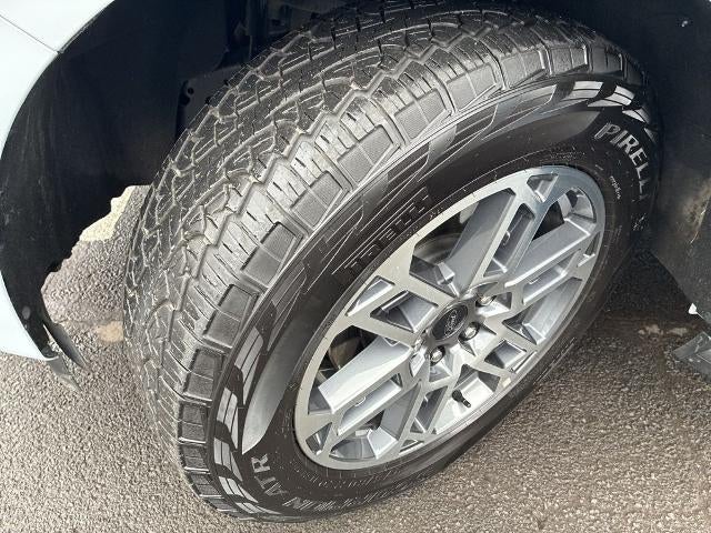 2025 Ford Expedition Active 4x4