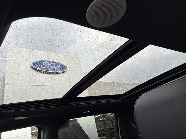 2024 Ford Super Duty F-250 SRW Platinum 4WD Crew Cab 6.75' Box