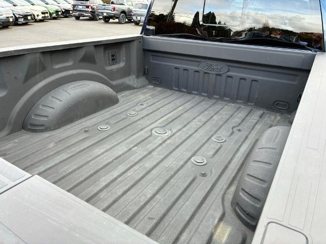 2024 Ford Super Duty F-350 SRW Platinum 4WD Crew Cab 6.75' Box