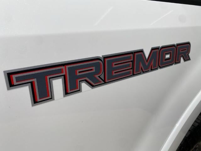 2022 Ford Super Duty F-350 SRW Platinum 4WD Crew Cab 6.75' Box