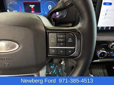 2023 Ford Super Duty F-350 SRW Platinum 4WD Crew Cab 6.75' Box
