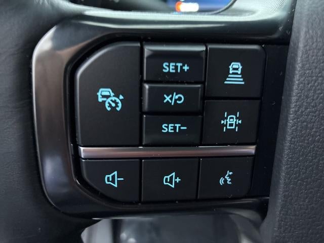 2025 Ford Super Duty F-350 DRW Platinum 4WD Crew Cab 8' Box