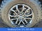 2024 Ford Ranger Raptor 4WD SuperCrew 5' Box