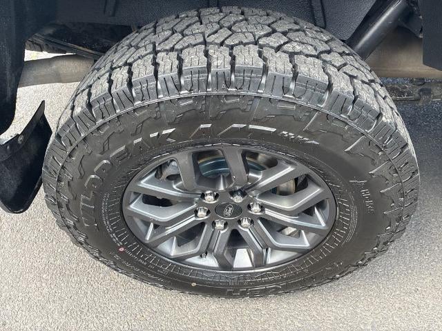 2023 Ford F-150 XL 4WD SuperCrew 5.5' Box
