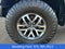 2017 Ford F-150 Raptor 4WD SuperCab 5.5' Box