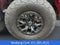 2023 Ford F-150 Raptor 4WD SuperCrew 5.5' Box