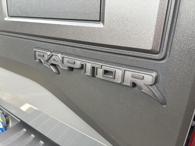 2020 Ford F-150 Raptor 4WD SuperCrew 5.5' Box