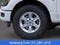 2026 Ford F-150 XLT 4WD SuperCrew 6.5' Box