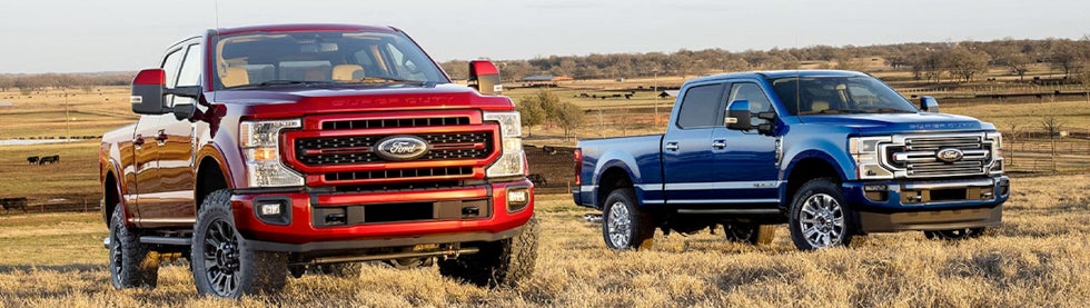 Ford F-150s in field | Newberg Ford in Newberg OR